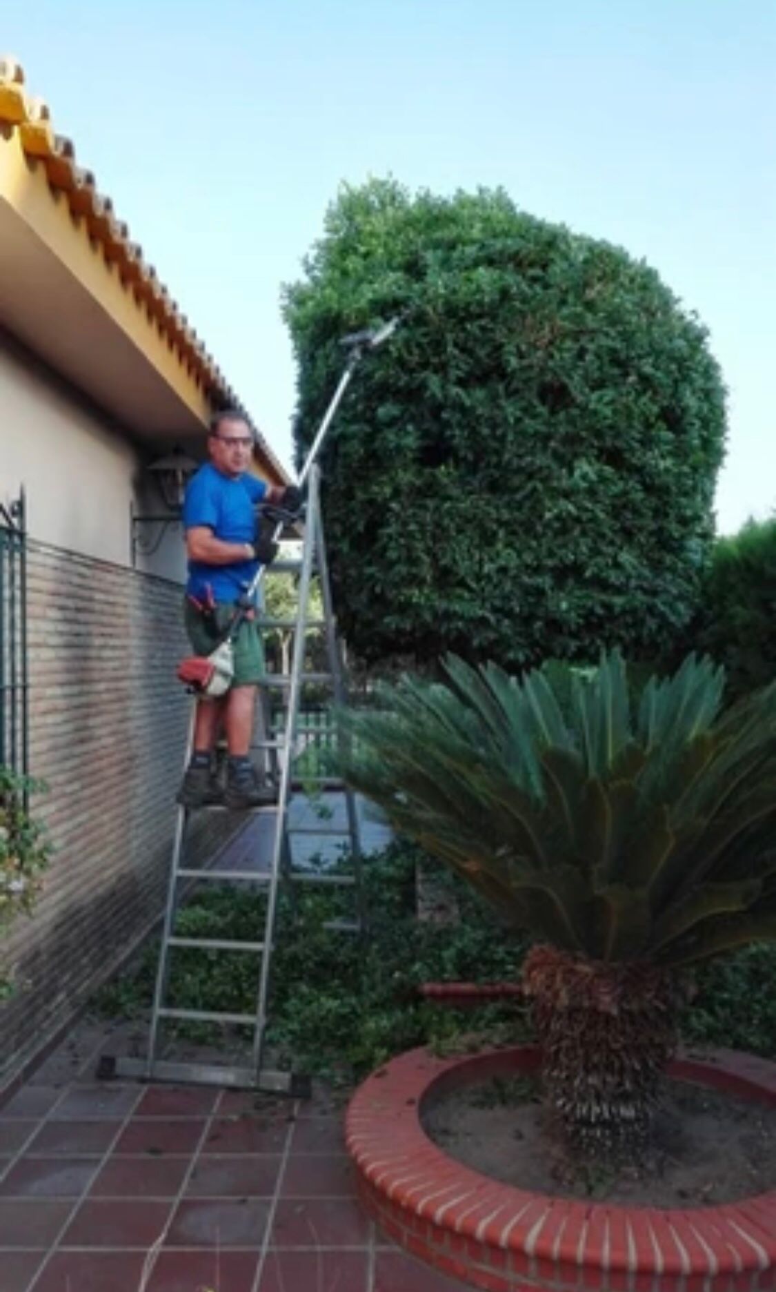 Mantenimiento de jardines en Sevilla con Aqualjarafe Piscinas