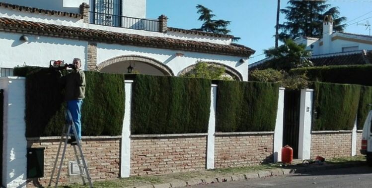 Mantenimiento de jardines en Sevilla con Aqualjarafe Piscinas